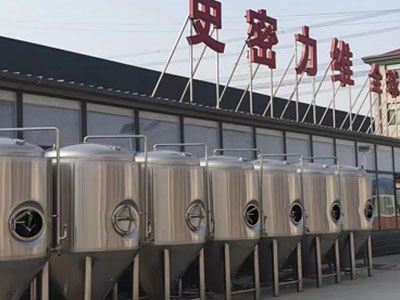 宁强精酿啤酒设备厂—市场规模与跨界新需求